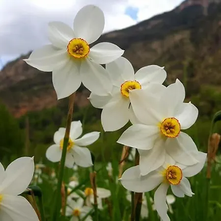 Bpirineos-maupas شقة بيناسكي
