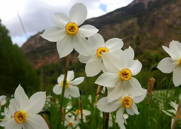 Bpirineos-maupas Lägenhet Benasque